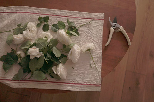 100% Cotton Napkins & Tea Towels - Thick Unbleached Baking Cloths & Dish Towels